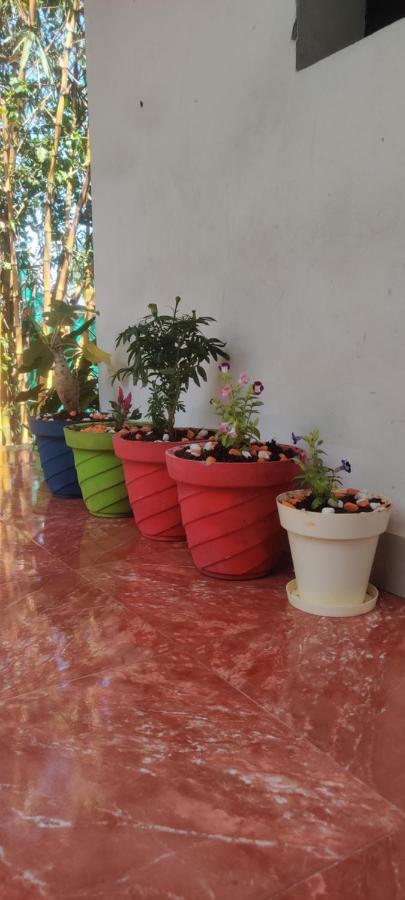 Mahabs homestay Villa Mamallapuram Esterno foto